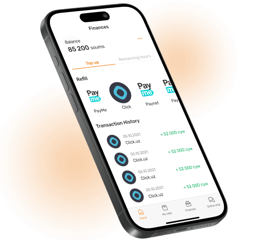 Application interface